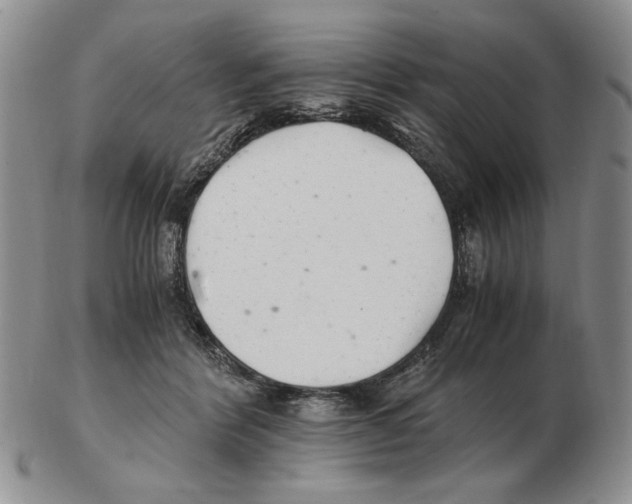 X0000102760412200809151019