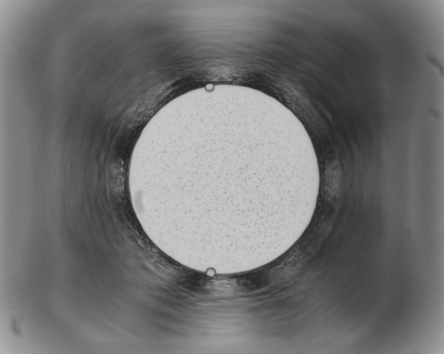 X0000102760413200809151019