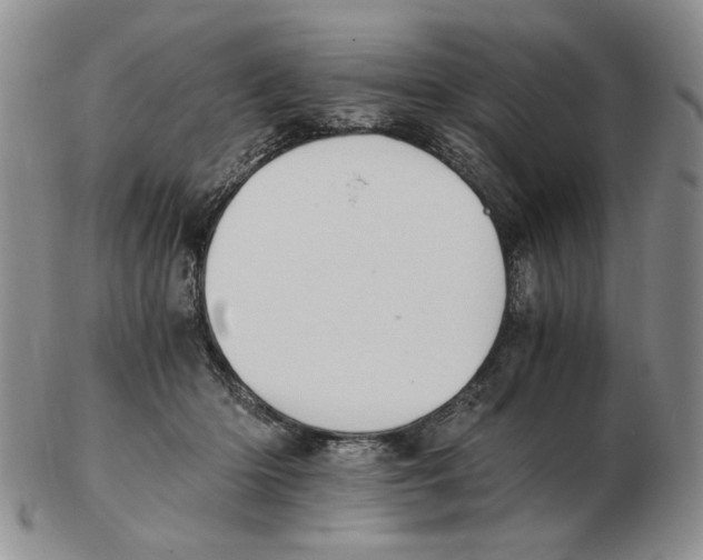 X0000102760414200809151019