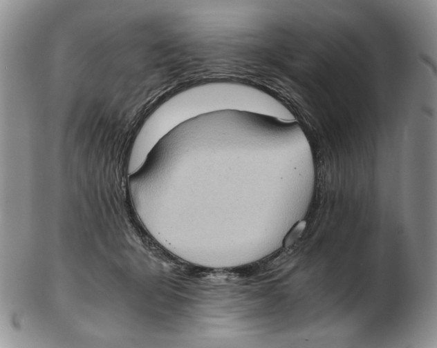 X0000102760415200809151019