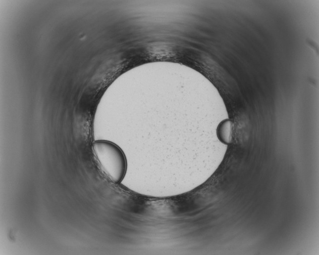 X0000102760417200809151019