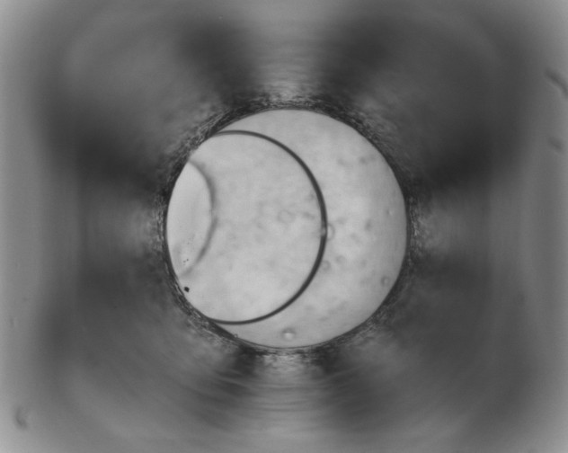 X0000102760419200809151019