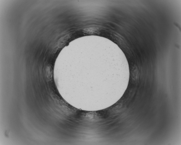 X0000102760420200809151019