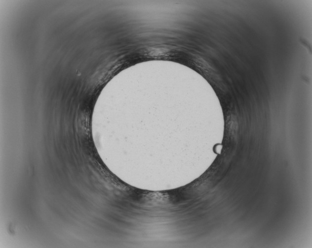 X0000102760421200809151019