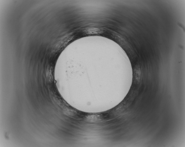 X0000102760422200809151019