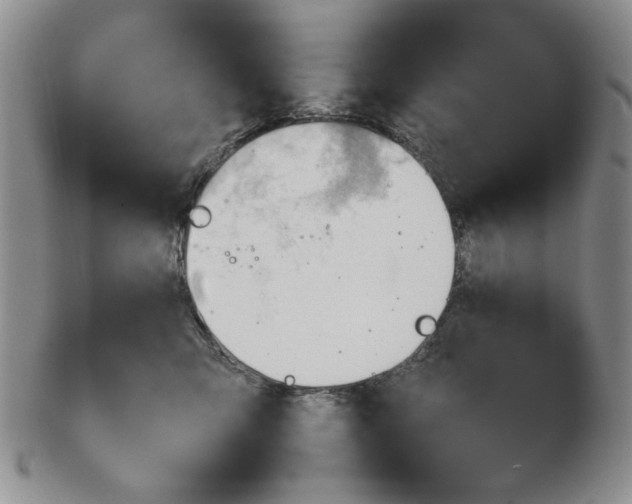 X0000102760423200809151019