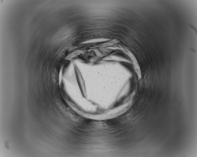 X0000102760424200809151019