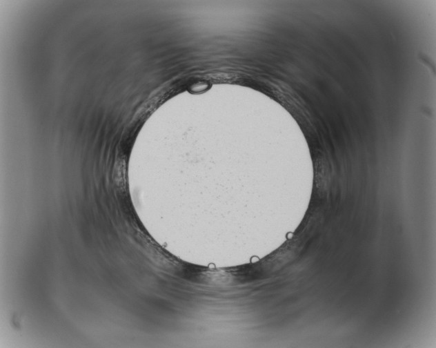 X0000102760425200809151019