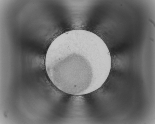 X0000102760427200809151019