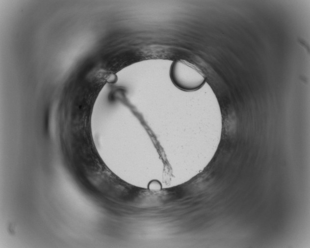 X0000102760429200809151019