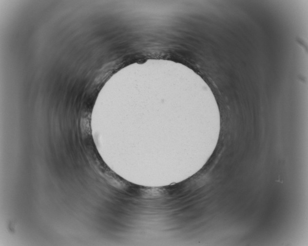 X0000102760432200809151019