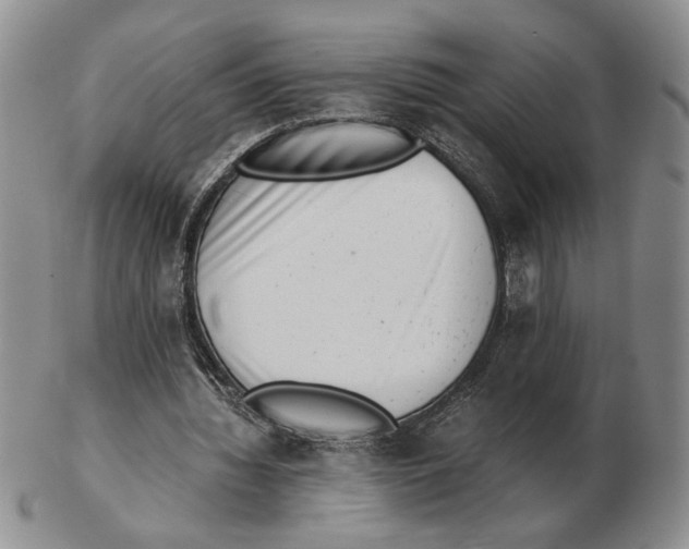 X0000102760436200809151018