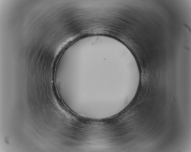 X0000102760438200809151018