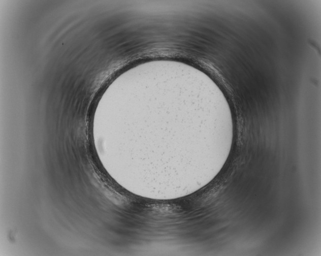 X0000102760439200809151018