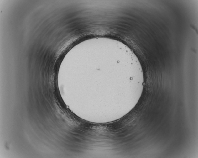 X0000102760440200809151018