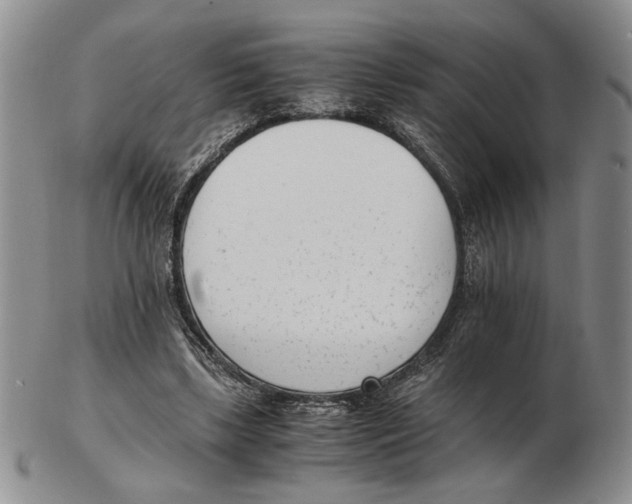 X0000102760443200809151018