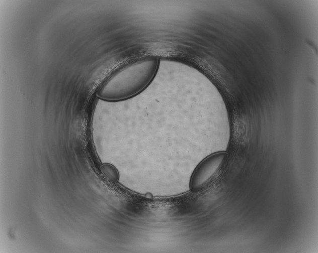 X0000102760444200809151018