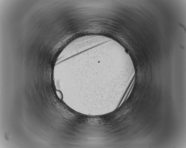 X0000102760446200809151018