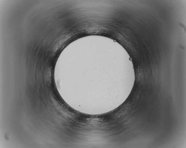 X0000102760448200809151018