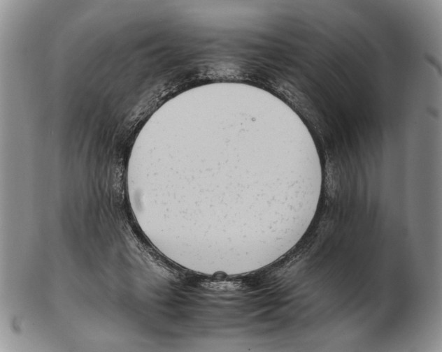 X0000102760449200809151018