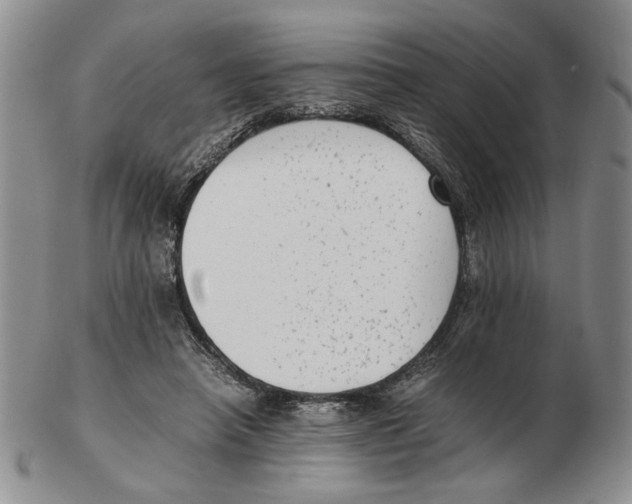 X0000102760450200809151018