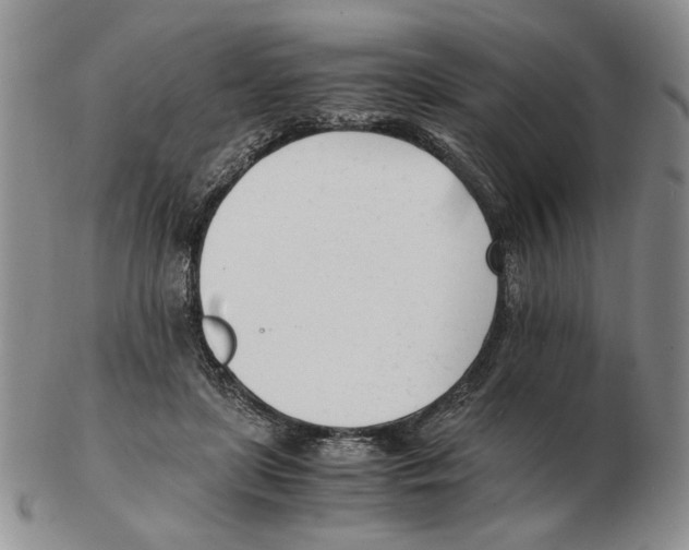 X0000102760451200809151018