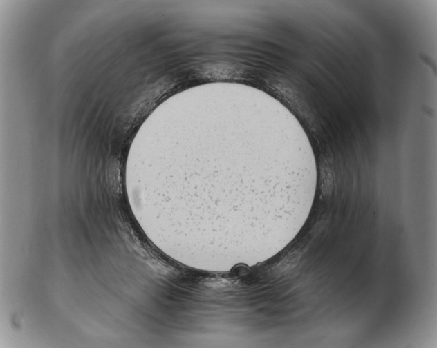 X0000102760453200809151018