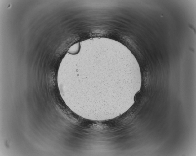 X0000102760455200809151018