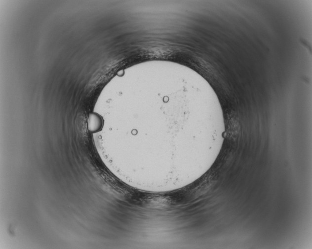 X0000102760456200809151018