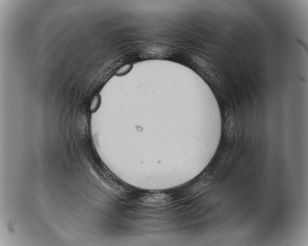 X0000102760459200809151019