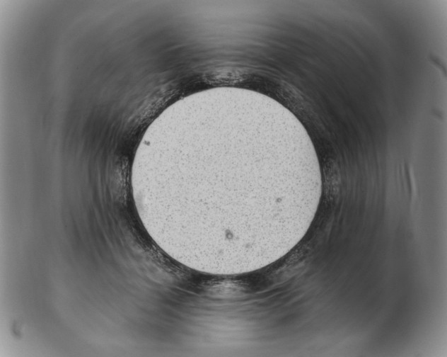 X0000102760460200809151019