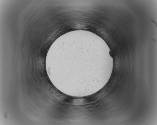 X0000102760461200809151019