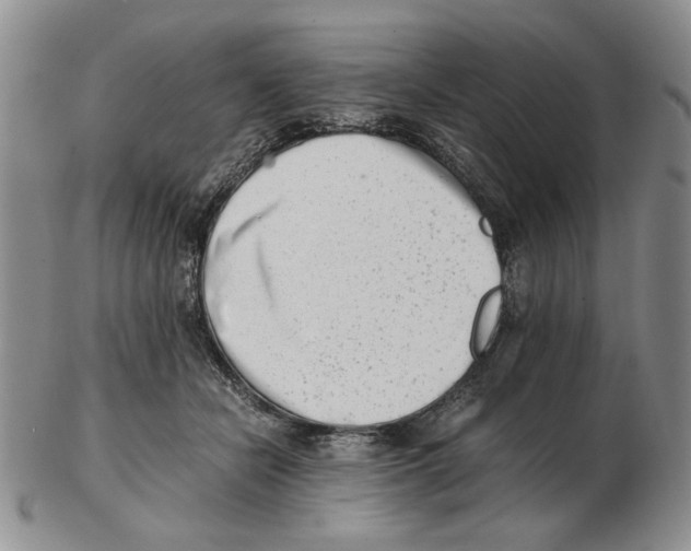 X0000102760462200809151019