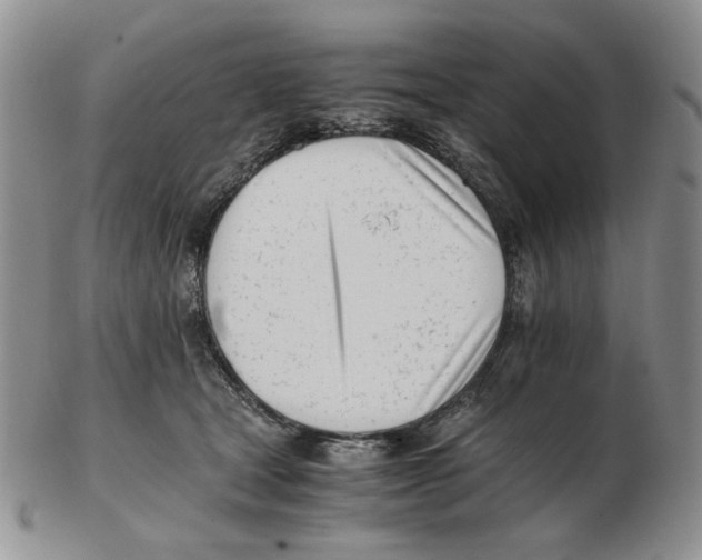 X0000102760465200809151019