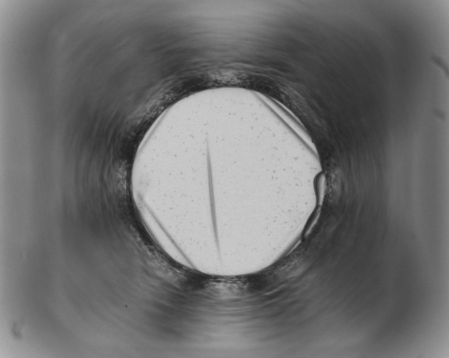 X0000102760466200809151019