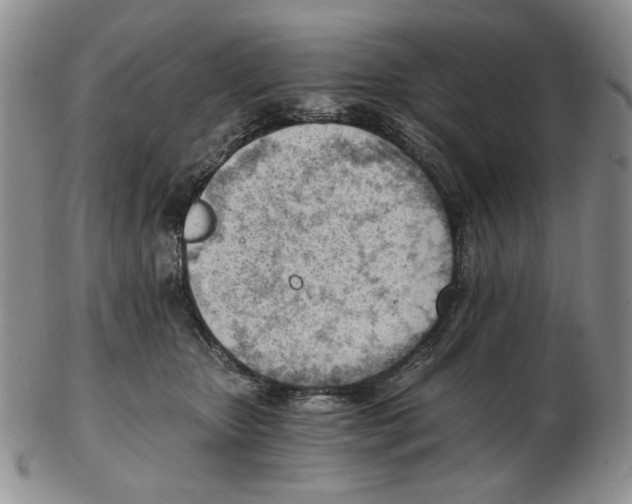 X0000102760467200809151019