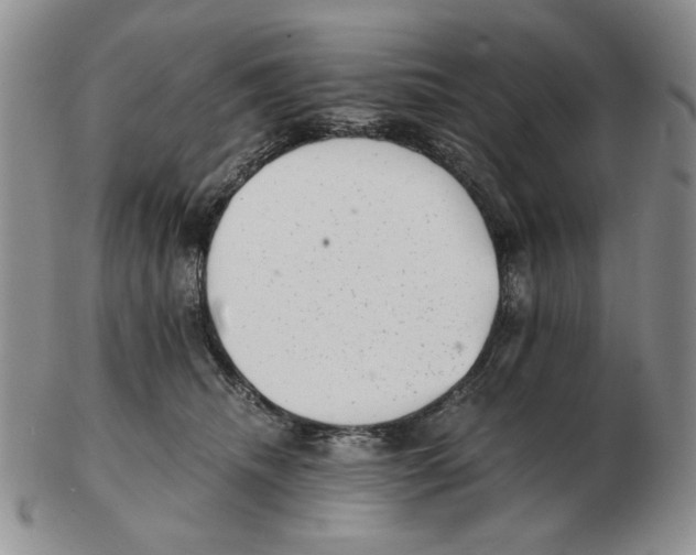 X0000102760468200809151019