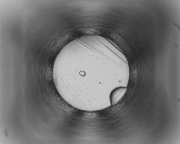 X0000102760469200809151019