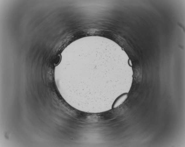 X0000102760470200809151019