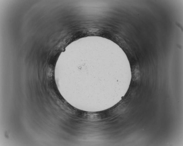 X0000102760472200809151019