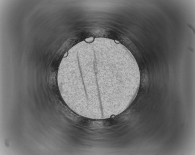 X0000102760473200809151019