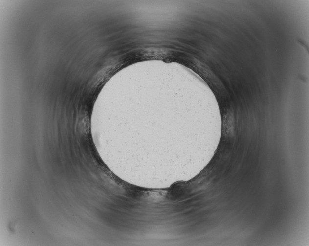 X0000102760474200809151019