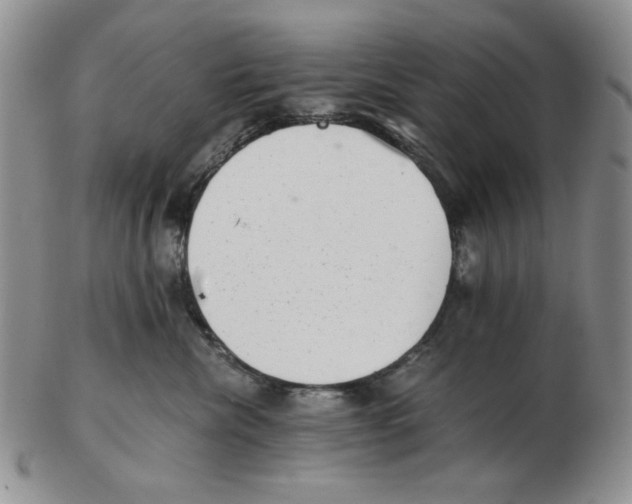 X0000102760476200809151019