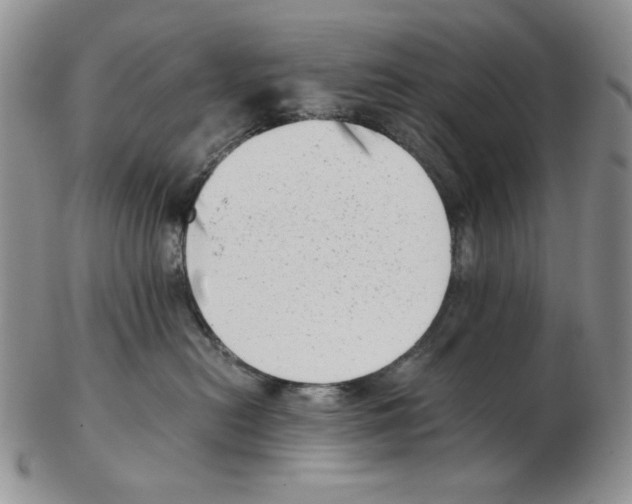 X0000102760478200809151019