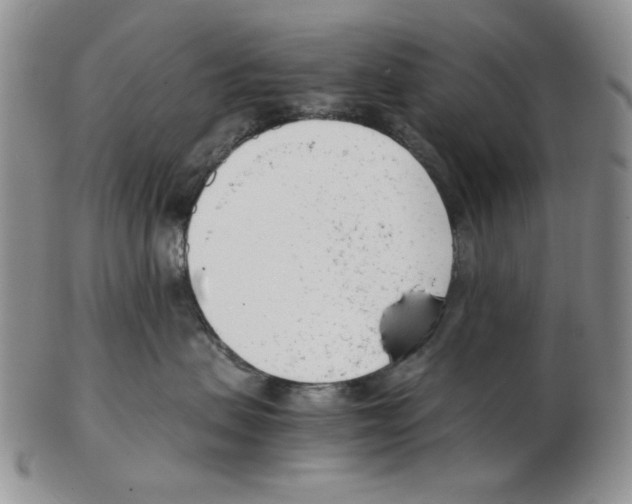 X0000102760479200809151019