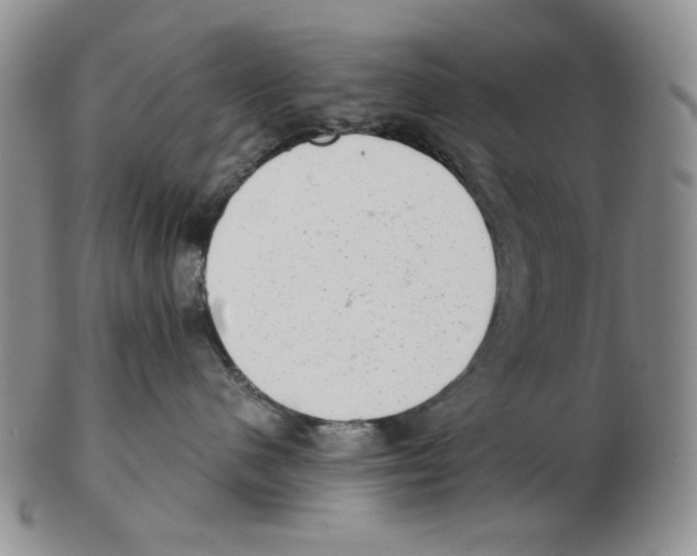 X0000102760480200809151019