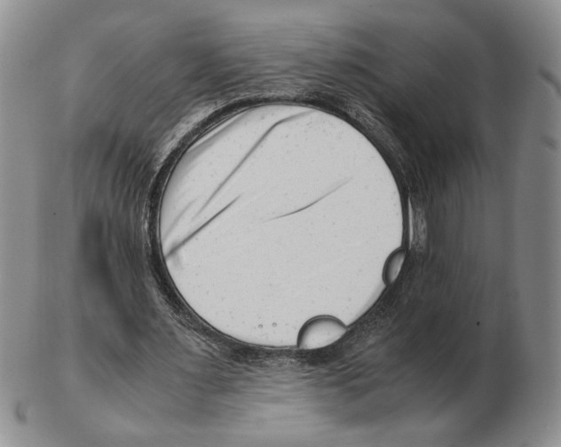 X0000102760483200809151018