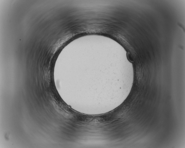 X0000102760488200809151018