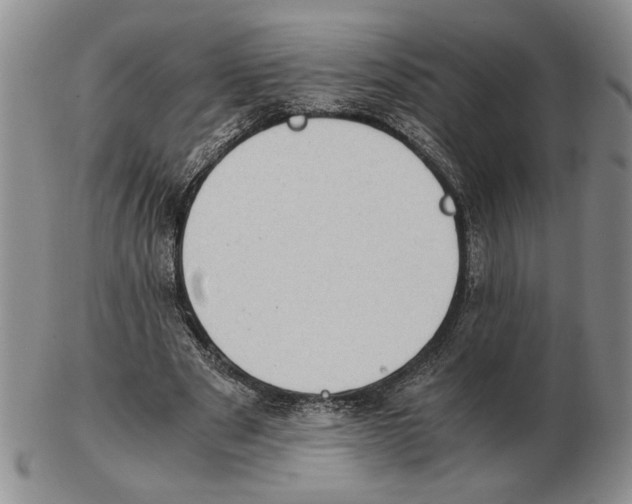 X0000102760489200809151018