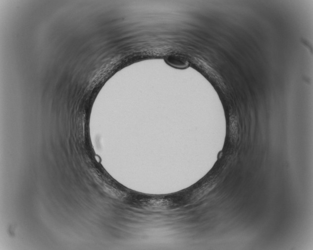 X0000102760493200809151018